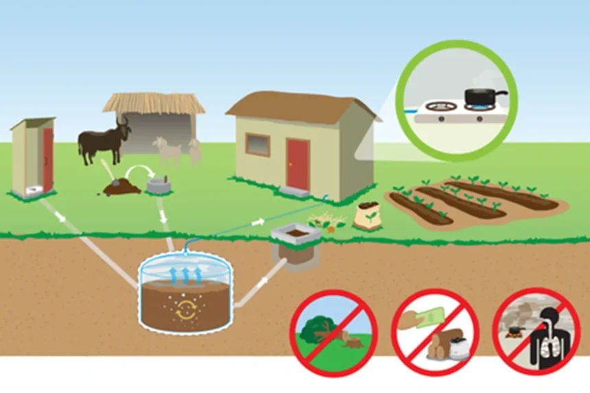 Doğanın mavi enerjisi: Biyogaz