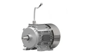 Ex-Proof motor nedir?