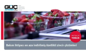 Aradığınız zincir hangisi: En az bakım mı, zorlu ortamlarda yağlama mı, sert hijyen kurallarında çalışma mı?