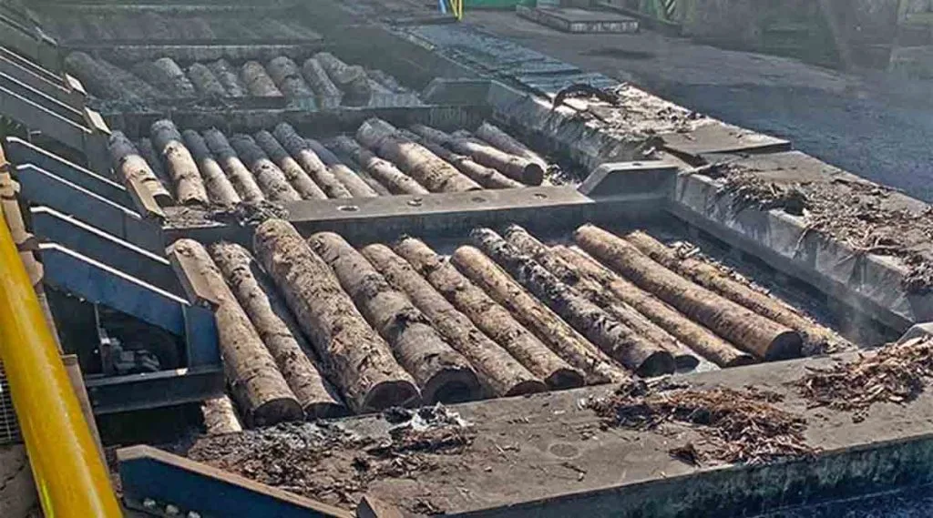 Ahşabı terbiye etmek ve dönüşümü kolaylaştırmak için uygun şekilde işlenebilir hale getirmeyi amaçlayan işlemde, ürünü su depoları boyunca taşımak için bir dizi zincir şeridi kullanılıyor.